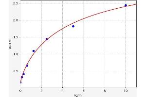 Phospholipase A2, Group IIA (Platelets, Synovial Fluid) (PLA2G2A) ELISA Kit