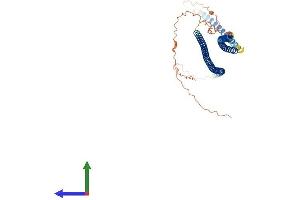 AlphaFold protein structure predicition of Human Recombinant KRT37 Protein, UniprotID O76014