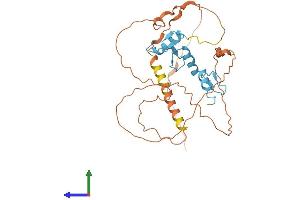 Protein Structure (PS) image for Kruppel-Like Factor 17 (KLF17) (AA 1-341) protein (His tag) (ABIN7559300)