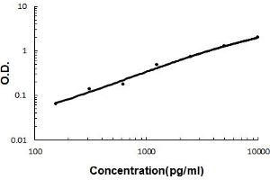 Sandwich ELISA - Recombinant human Beta 2 Microglobulin/B2M protein standard curve.