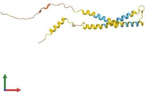 Protein Structure (PS) image for OCIA Domain Containing 2 (OCIAD2) (AA 1-154) protein (His tag) (ABIN7561138)