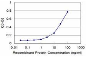 Detection limit for recombinant GST tagged CDC14A is approximately 3ng/ml as a capture antibody. (CDC14A 抗体  (AA 431-530))