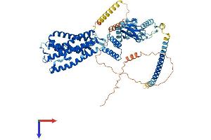 CNGA1 Protein (AA 1-684) (His tag)