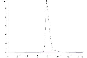 Size-exclusion chromatography-High Pressure Liquid Chromatography (SEC-HPLC) image for Fc Fragment of IgG, Low Affinity IIb, Receptor (CD32) (FCGR2B) (AA 46-217) protein (His-Avi Tag) (ABIN7274288)