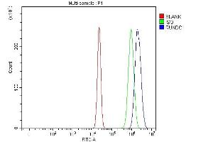 Flow Cytometry analysis of U20S cells using anti-RUNDC1 antibody (ABIN7599880).