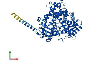 Protein Structure (PS) image for Cytochrome P450, Family 2, Subfamily R, Polypeptide 1 (CYP2R1) (AA 1-501) protein (His tag) (ABIN7546790)