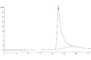 The purity of Mouse IL-5 Protein is greater than 95 % as determined by SEC-HPLC. (IL-5 Protein (AA 21-133) (His-Avi Tag))
