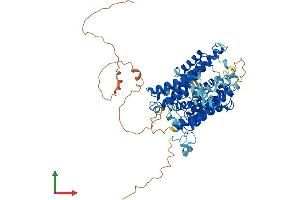 Protein Structure (PS) image for Solute Carrier Family 23 (Nucleobase Transporters), Member 2 (SLC23A2) (AA 1-650) protein (His tag) (ABIN7551711)