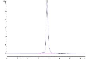 Size-exclusion chromatography-High Pressure Liquid Chromatography (SEC-HPLC) image for Killer Cell Immunoglobulin-Like Receptor, Two Domains, Long Cytoplasmic Tail, 3 (KIR2DL3) (AA 22-245) protein (His-Avi Tag) (ABIN7275088)