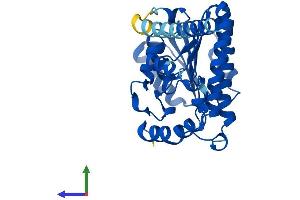 AlphaFold protein structure predicition of Human Recombinant HSD17B3 Protein, UniprotID P37058