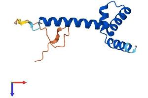 AlphaFold protein structure predicition of Mouse Recombinant Riiad1 Protein, UniprotID Q3KNY5
