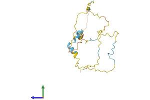 Protein Structure (PS) image for Testis Development Related Protein (TDRP) (AA 1-185) protein (His tag) (ABIN7544396)