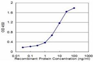 Detection limit for recombinant GST tagged FADS1 is approximately 0. (FADS1 抗体  (AA 1-99))