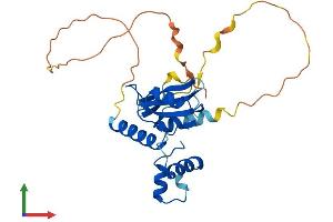Protein Structure (PS) image for Cytokine Inducible SH2-Containing Protein (CISH) (AA 1-258) protein (His tag) (ABIN7546605)