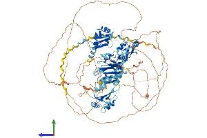 Protein Structure (PS) image for RNA Binding Motif Protein 12 (RBM12) (AA 1-932) protein (His tag) (ABIN7551213)