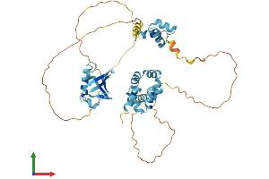 Protein Structure (PS) image for RAD23 Homolog B (RAD23B) (AA 1-416) protein (His tag) (ABIN7563449)
