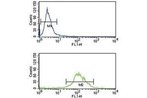TAT antibody flow cytometry analysis of K562 cells (green) compared to a&nbsp (Tat (AA 279-306) 抗体)