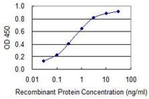 Detection limit for recombinant GST tagged BRCA2 is 0. (BRCA2 抗体  (AA 3319-3418))