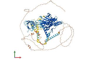 Protein Structure (PS) image for Oxysterol Binding Protein-Like 8 (OSBPL8) (AA 1-889) protein (His tag) (ABIN7554839)