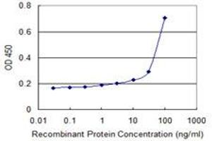 Detection limit for recombinant GST tagged RNF148 is 3 ng/ml as a capture antibody. (RNF148 抗体  (AA 139-238))