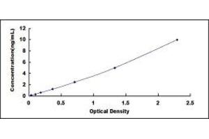 Typical standard curve (SMAD4 ELISA 试剂盒)