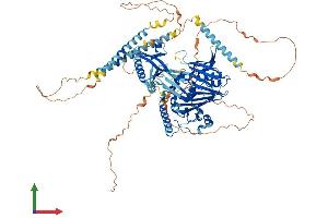 Protein Structure (PS) image for Oxysterol Binding Protein-Like 3 (OSBPL3) (AA 1-855) protein (His tag) (ABIN7565009)