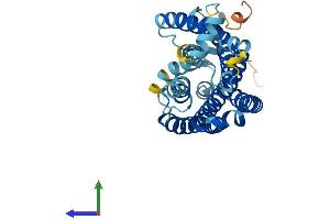 Protein Structure (PS) image for Olfactory Receptor 2H1 (OR2H1) (AA 1-316) protein (His tag) (ABIN7550243)