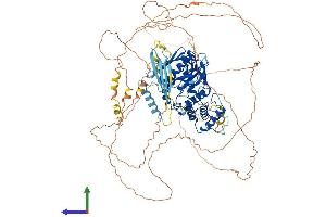 Protein Structure (PS) image for Erythrocyte Membrane Protein Band 4.1 Like 3 (EPB41L3) (AA 1-929) protein (His tag) (ABIN7565234)
