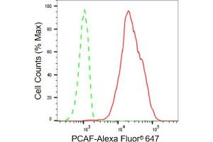Flow cytometric analysis of PCAF expression in HT- cells using PCAF antibody (ABIN7799154), 1:2,000).