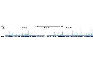 ChIP DNA-Sequencing (ChIP-seq) image for anti-Runt-Related Transcription Factor 1, Translocated To, 1 (Cyclin D-Related) (RUNX1T1) (Internal Region), (N-Term) antibody (ABIN6655575)