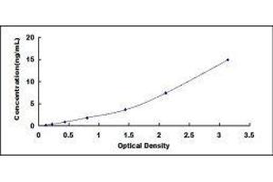 Caveolin 1, Caveolae Protein, 22kDa (CAV1) ELISA Kit