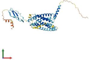 Protein Structure (PS) image for Corticotropin Releasing Hormone Receptor 2 (CRHR2) (AA 1-411) protein (His tag) (ABIN7557600)