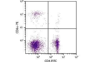 Chicken peripheral blood lymphocytes were stained with Mouse Anti-Chicken CD8α-PE. (CD8 alpha 抗体)