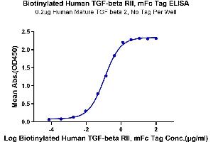 ELISA image for Transforming Growth Factor, beta Receptor II (70/80kDa) (TGFBR2) (AA 24-159) protein (mFc-Avi Tag,Biotin) (ABIN7275718)