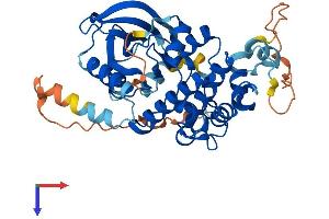 MEK2 Protein (AA 1-401) (His tag)