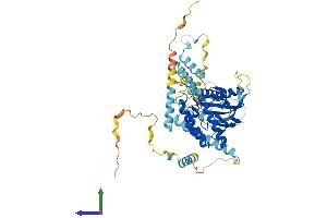 Protein Structure (PS) image for RRIO Kinase 3 (RIOK3) (AA 1-519) protein (His tag) (ABIN7561303)