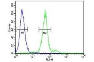 TPSAB1 antibody flow cytometric analysis of 293 cells (green) compared to a negative control cell (blue). (TPSAB1 抗体  (AA 61-87))