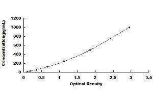 Typical standard curve (IL-18 ELISA 试剂盒)