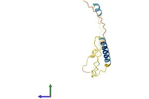 AlphaFold protein structure predicition of Mouse Recombinant Iqcj Protein, UniprotID Q8BPW0 (IQCJ Protein (AA 1-110) (His tag))