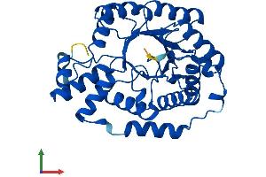 Protein Structure (PS) image for Deoxyribose-Phosphate Aldolase (DERA) (AA 1-318) protein (His tag) (ABIN7547020)