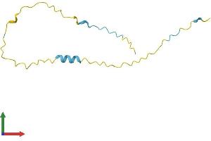 Protein Structure (PS) image for X Antigen Family, Member 3 (XAGE3) (AA 1-111) protein (His tag) (ABIN7545116)