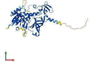 Protein Structure (PS) image for tRNA 5-Methylaminomethyl-2-Thiouridylate Methyltransferase (TRMU) (AA 1-421) protein (His tag) (ABIN7549582)