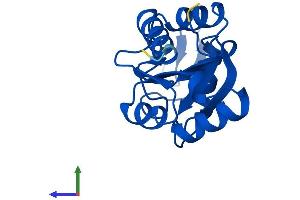 AlphaFold protein structure predicition of Mouse Recombinant Mdp1 Protein, UniprotID Q9D967 (MDP1 Protein (AA 1-164) (His tag))