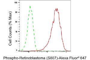 Flow cytometric analysis of Phospho-Retinoblastoma (S807) expression in HAP-1 cells using Phospho-Retinoblastoma (S807) antibody (ABIN7800188), 1:2,000). (Recombinant Retinoblastoma Protein (Rb) 抗体  (pSer807))