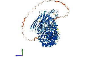 AlphaFold protein structure predicition of Mouse Recombinant Ap1g2 Protein, UniprotID O88512