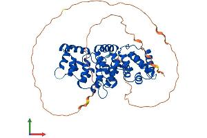 Protein Structure (PS) image for Annexin A7 (ANXA7) (AA 1-463) protein (His tag) (ABIN7556909)