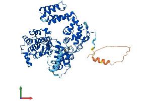 AlphaFold protein structure predicition of Mouse Recombinant Grk5 Protein, UniprotID Q8VEB1