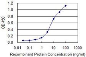 Detection limit for recombinant GST tagged EBF1 is 0. (EBF1 抗体  (AA 1-591))