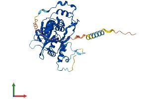 Protein Structure (PS) image for UDP-GlcNAc:betaGal beta-1,3-N-Acetylglucosaminyltransferase 6 (Core 3 Synthase) (B3GNT6) (AA 1-384) protein (His tag) (ABIN7552630)