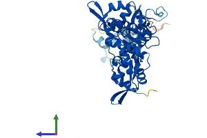 Protein Structure (PS) image for Sister Chromatid Cohesion Protein DCC1 (DSCC1) (AA 1-399) protein (His tag) (ABIN7556975)